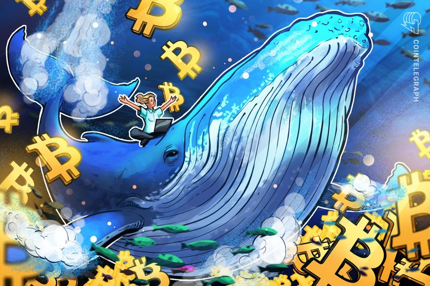 Bitcoin whale holdings hit five-month high: Is BTC headed to $80K next?