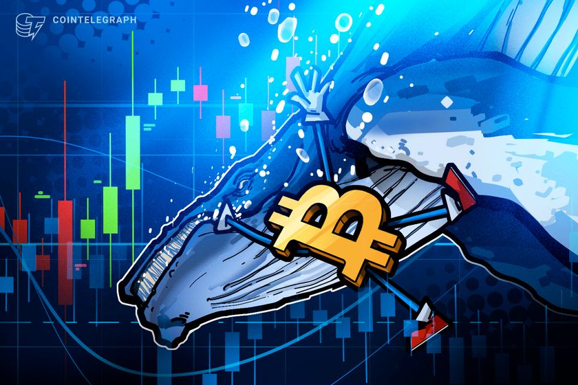 Bitcoin whale ‘still short’ BTC despite facing $13M in losses